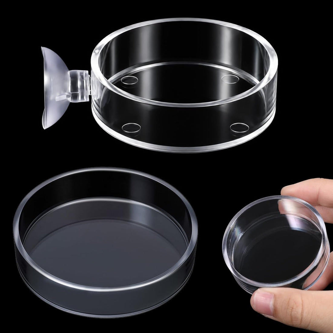 Shrimp Feeding Dish with Suction Cup, Fish Tank Feeder Dishes