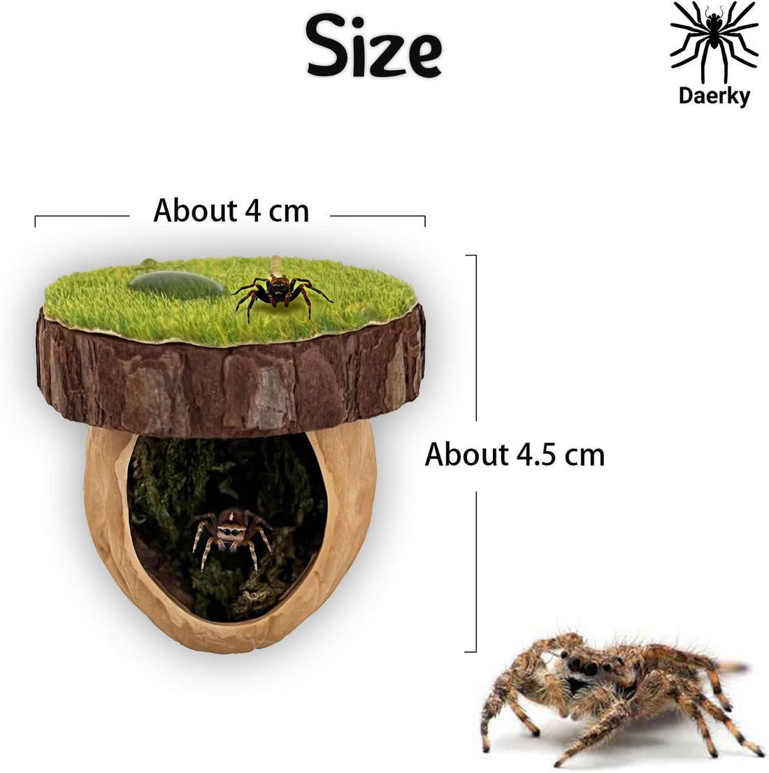 Jumping Spider Hideout - Magnetic Hiding Habitat, Climbing Platform