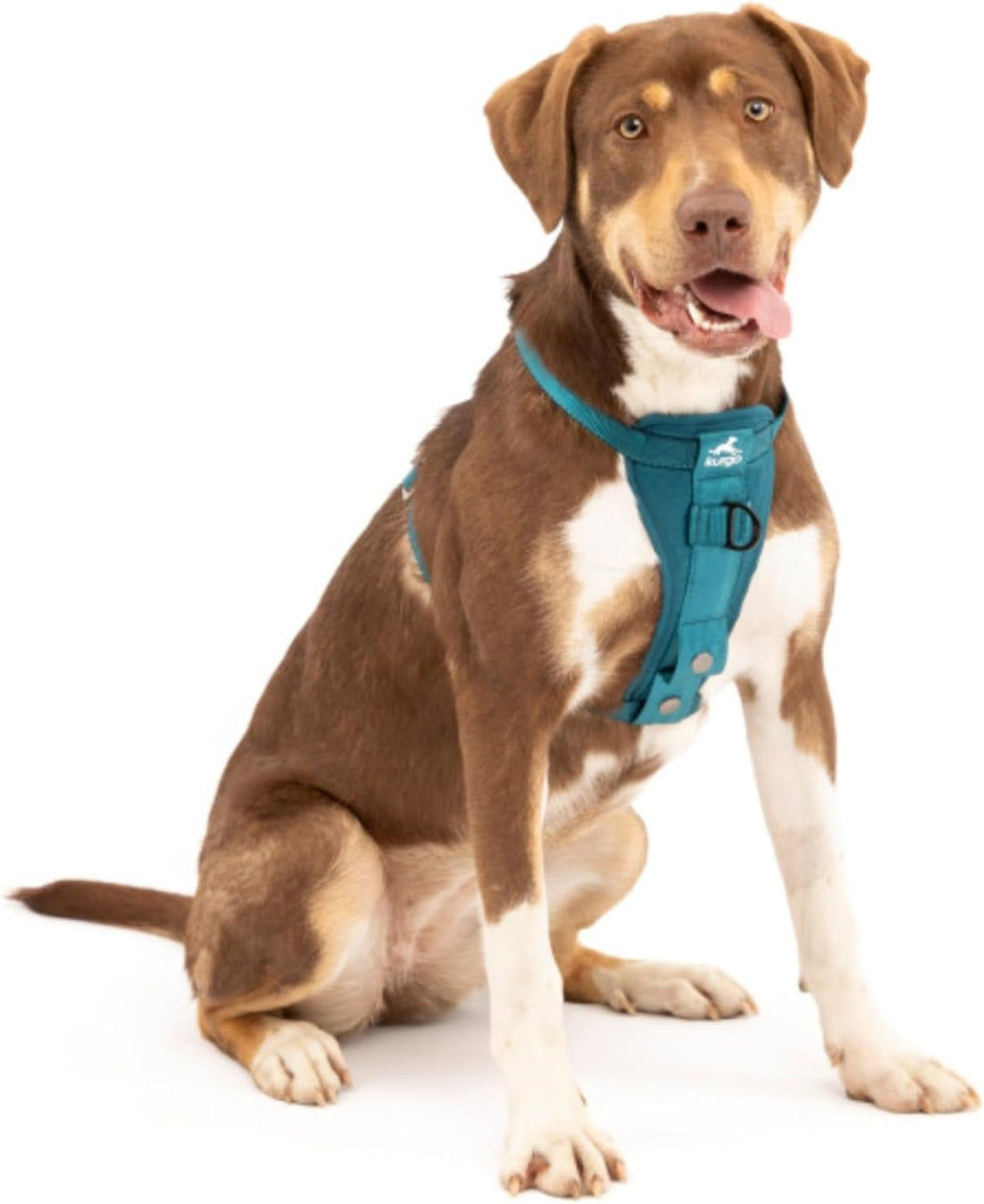Kurgo Enhanced Strength Tru-Fit Smart Harness
