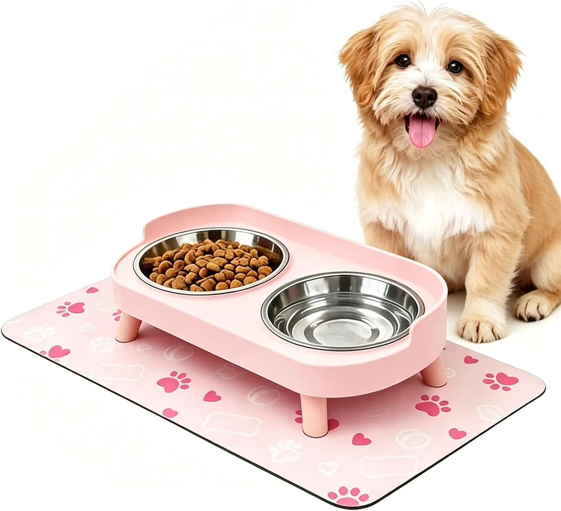 Elevated Dog Bowl, Raised Feeding Stand with Mat for Small Dogs Under