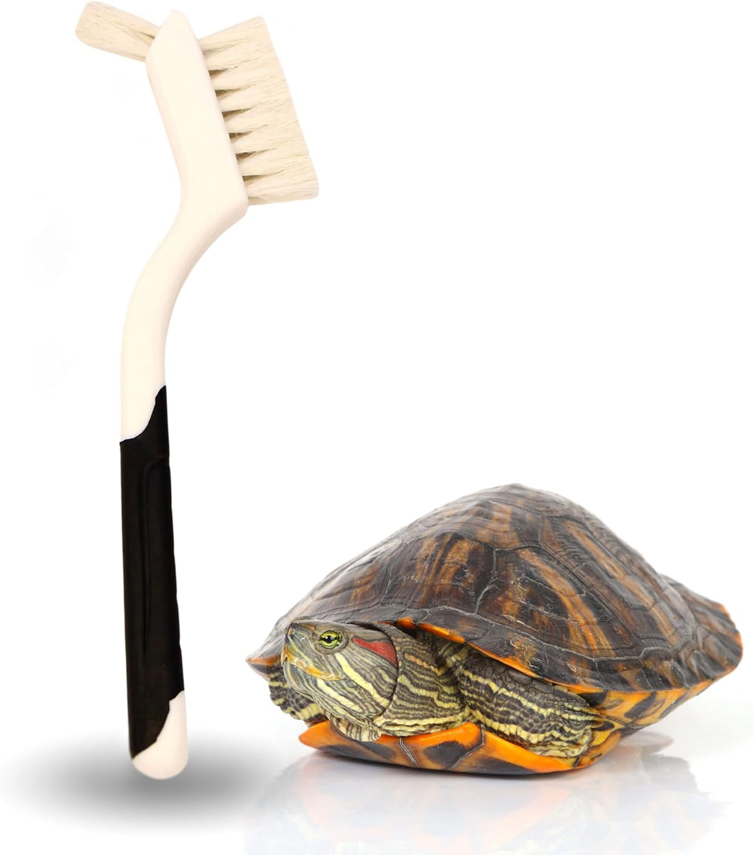Turtle Cleaning Brush Remove Aquatic Mud, Dirt