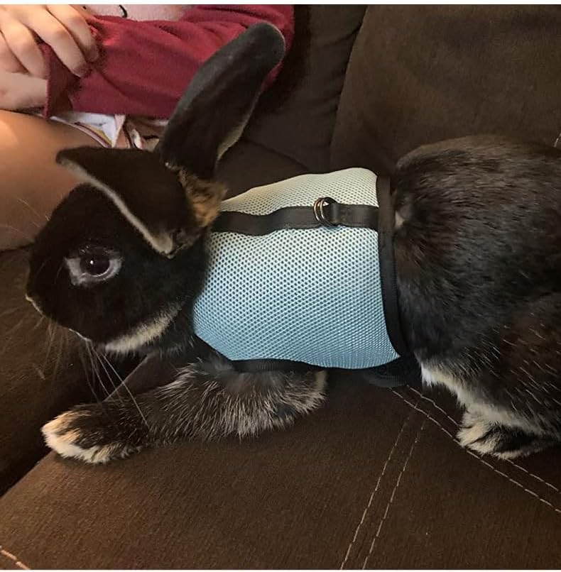 Bunny Harness and Leash Escape Proof Soft Mesh Rabbit Leash