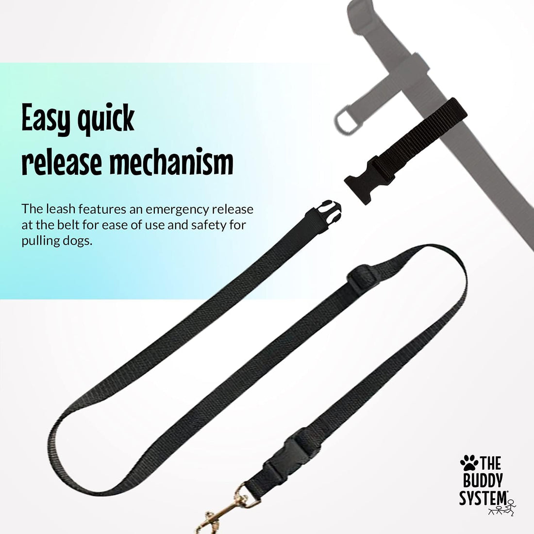 The Buddy System - Hands Free Dog Leash - Small Dog, Large Belt