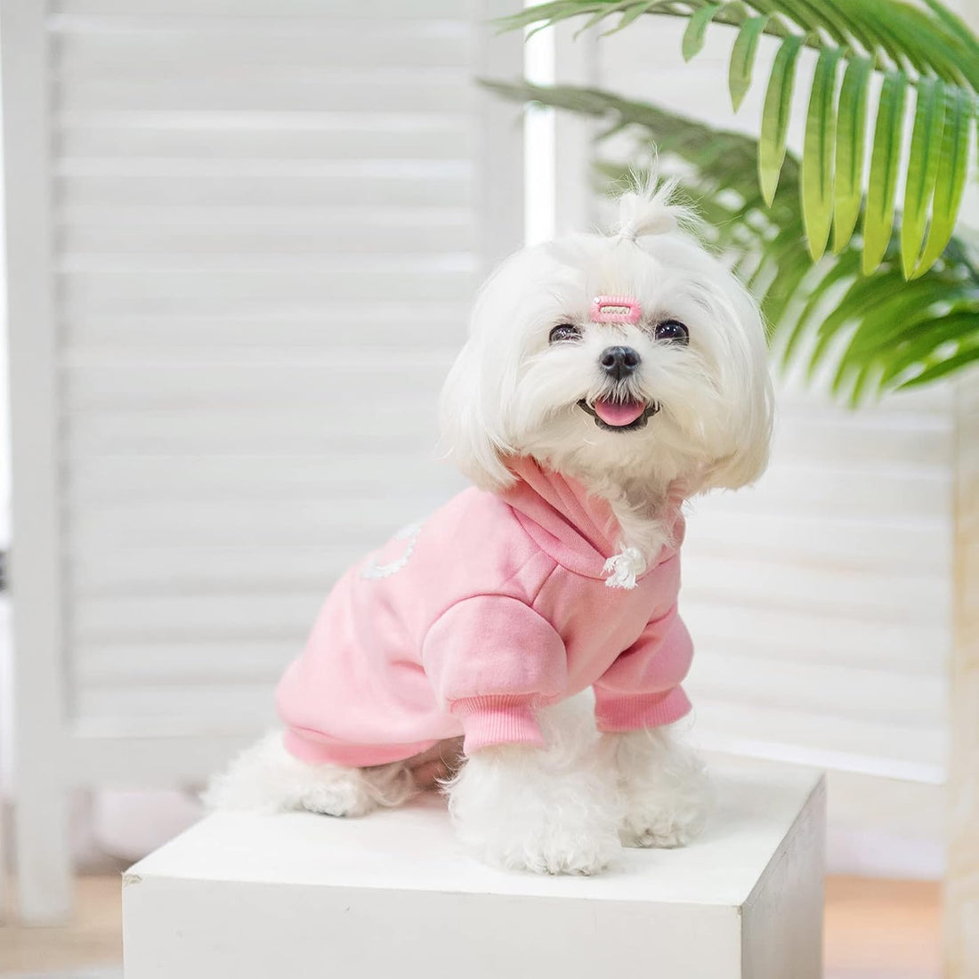 EXPAWLORER Princess Dog Hoodie-Soft Fleece Dog Sweater Clothes