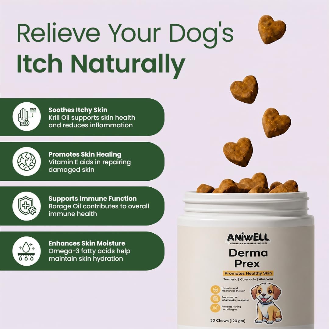 DermaPrex Dog Allergy Chews – Anti Itch for Dogs | Borage Oil, Omega 3