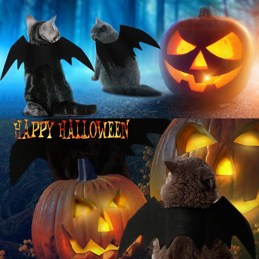 Pet Cat Bat Wings for Halloween Party Decoration