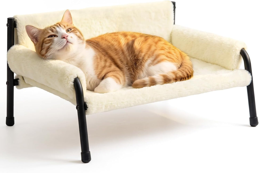 Elevated Cat Couch Bed for Indoor Cats