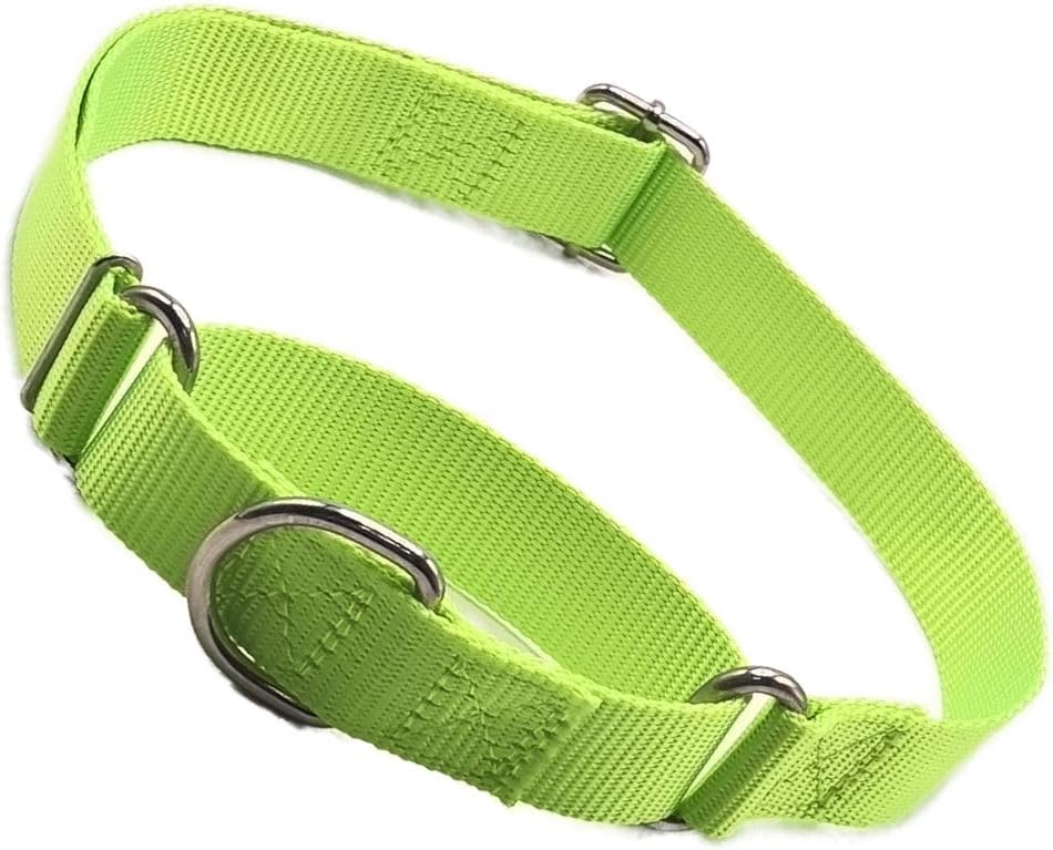 Martingale Dog Collars for Medium Dogs, No Pull Dog Choker Collar