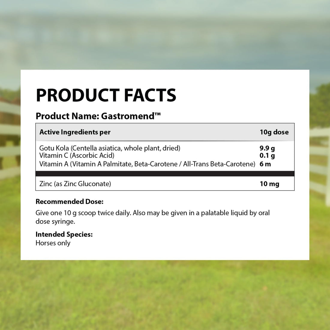 GastroMend® Digestive Support for Horses, 60 Doses