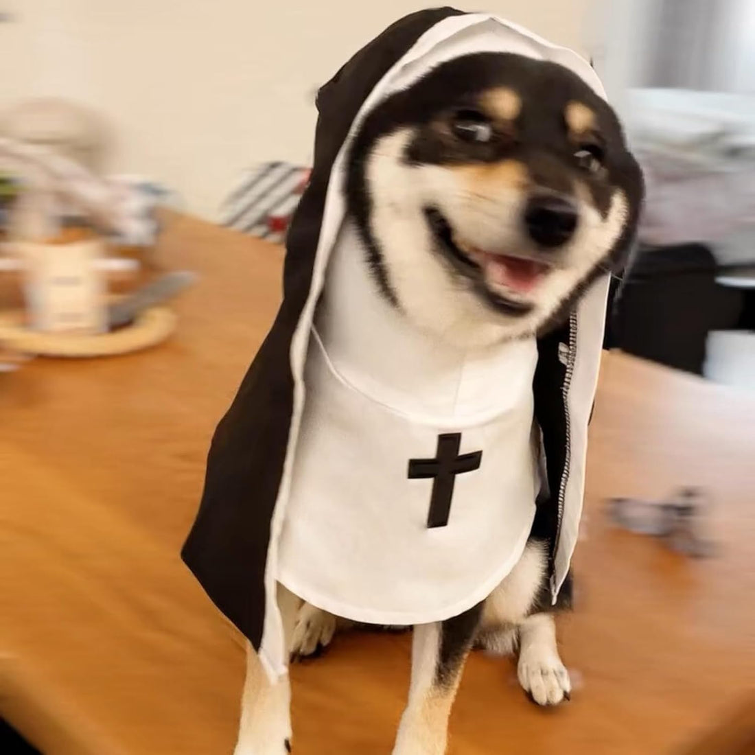 Cat/Dog Nun Costume Pet Clothing, Habit Outfit Halloween
