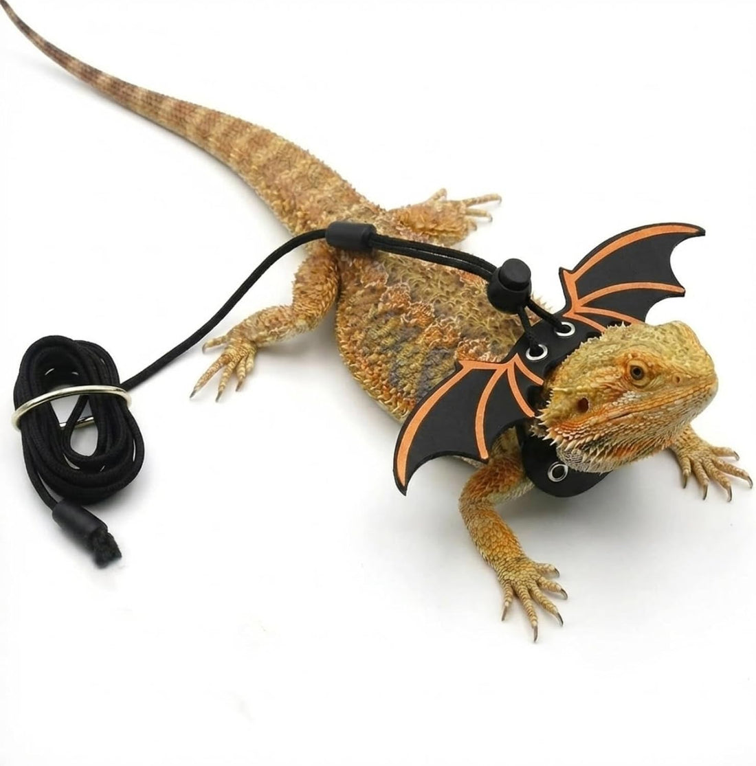 Bearded Dragon Carrier Sling & Bat Wing Leash Harness Set