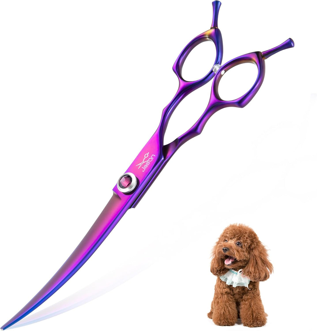 JASON Curved Dog Grooming Scissors
