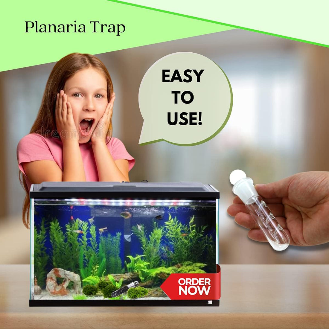 Planaria Trap Crystal Red Shrimp Tank Aquarium Bristle Worm Catcher