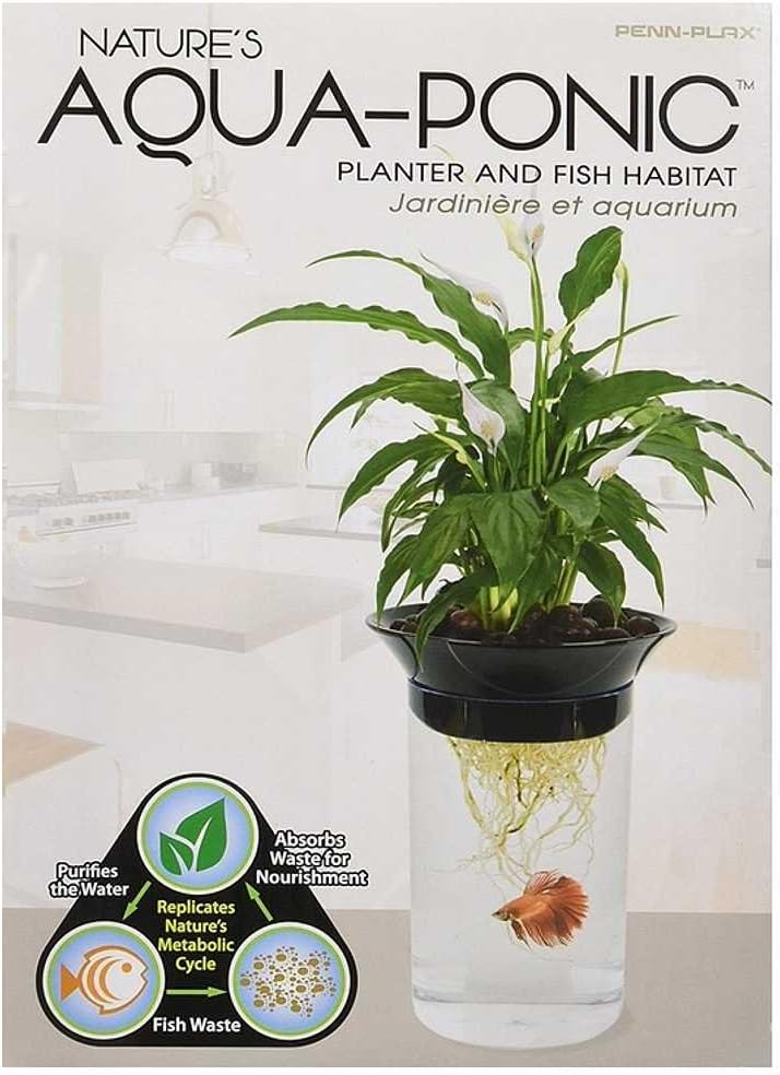 Penn-Plax Aquaponic Planter and Aquarium for Betta Fish Tank Promotes