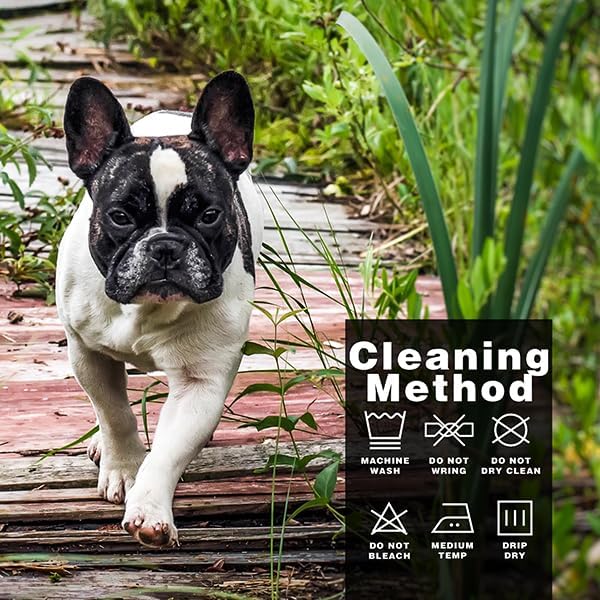 Elevate Your Pet's Seasonal Style with Playful Panache