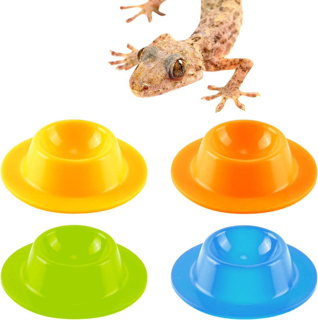 3 in 1 Dubia Roach Large Feeder Bowl, 6 PCS Isopod Food Dish