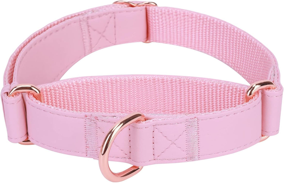 Soft Leather Martingale Dog Collar