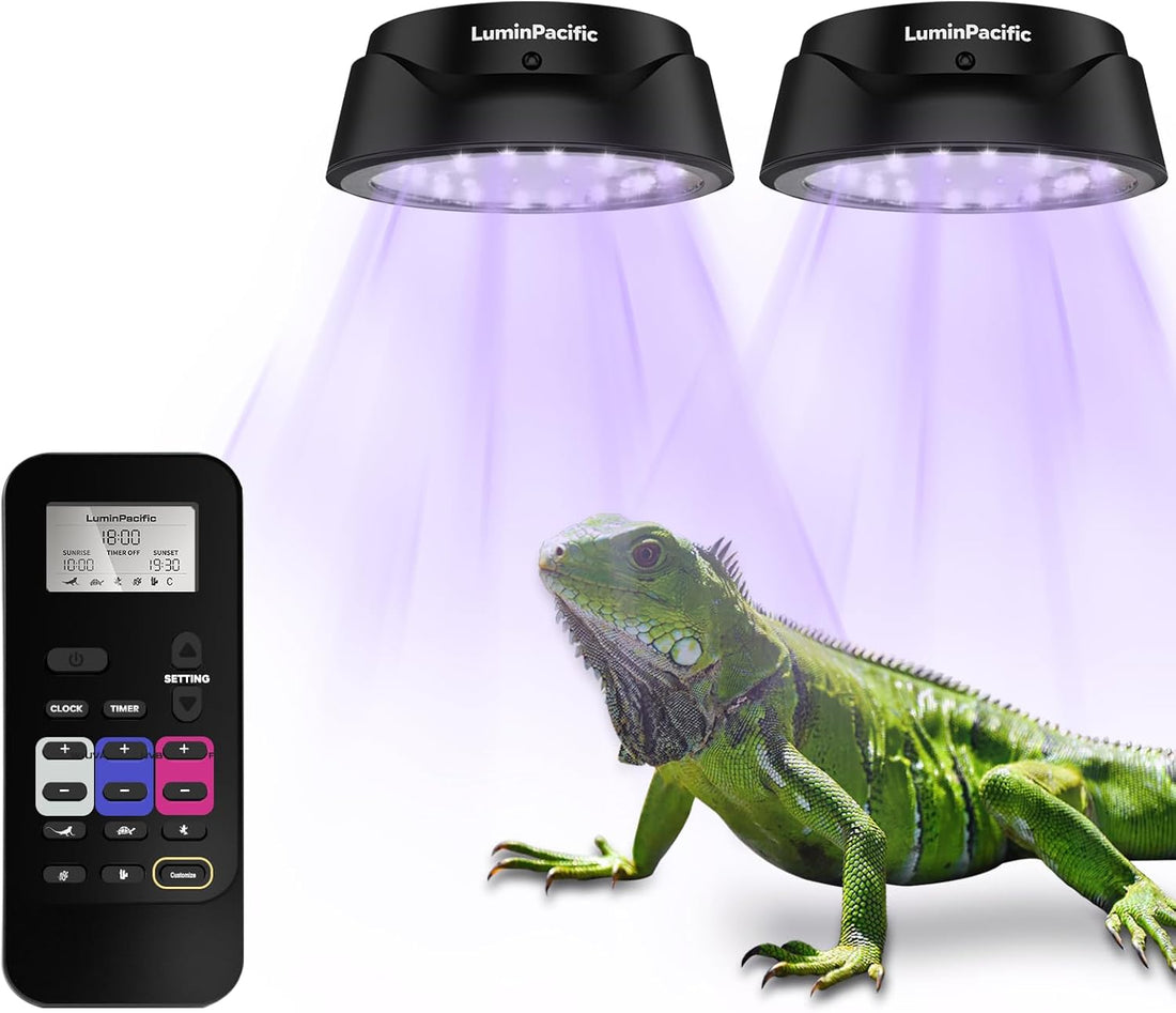 2 Pack UVB Reptile Lights with Remote, UVA UVB Light with Timer