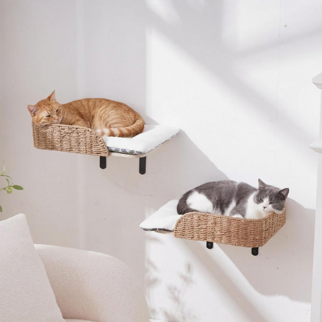 SHENGOCASE Wall Mounted Cat Furniture Set