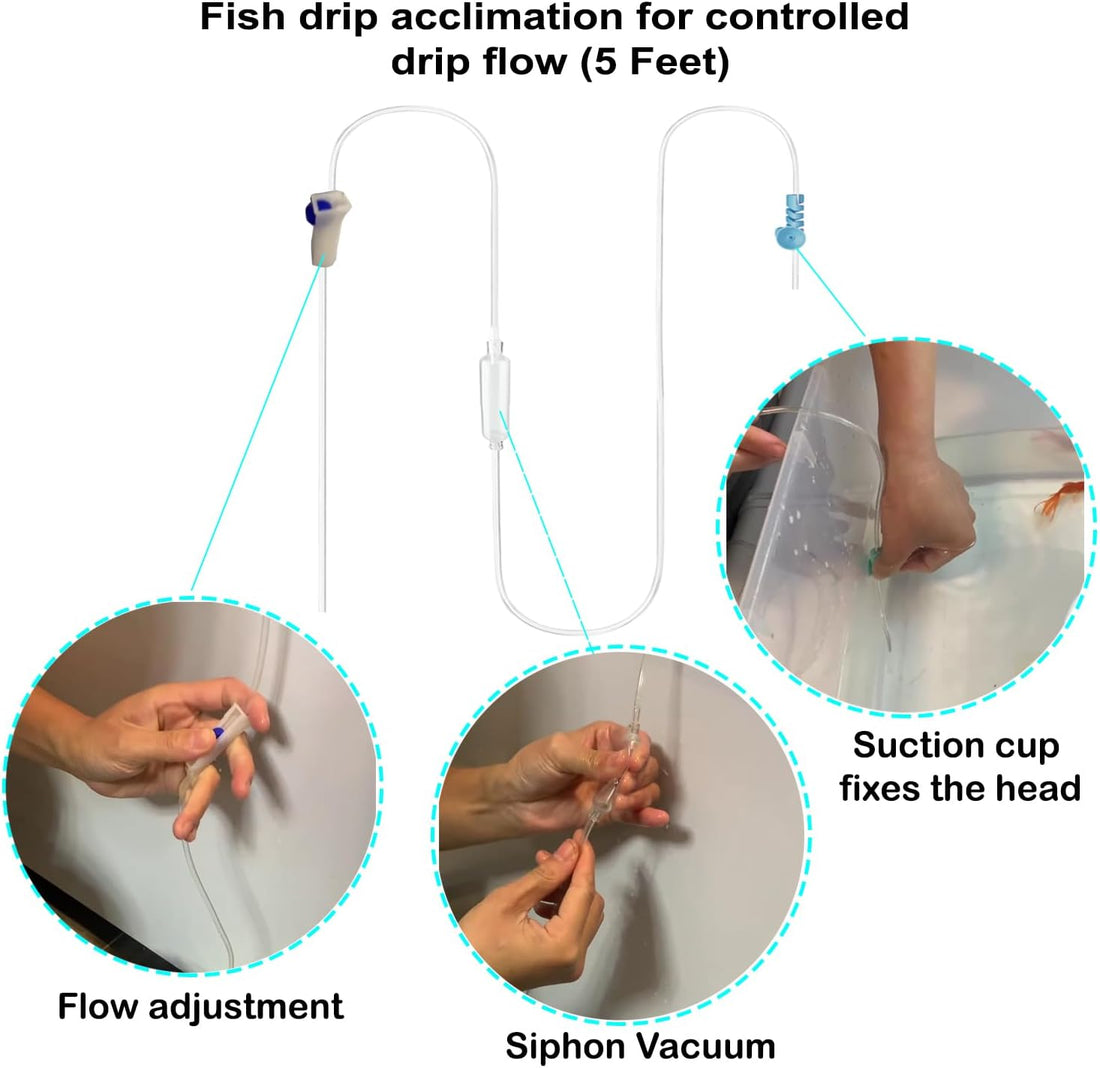 Foldable Fish Acclimation Box