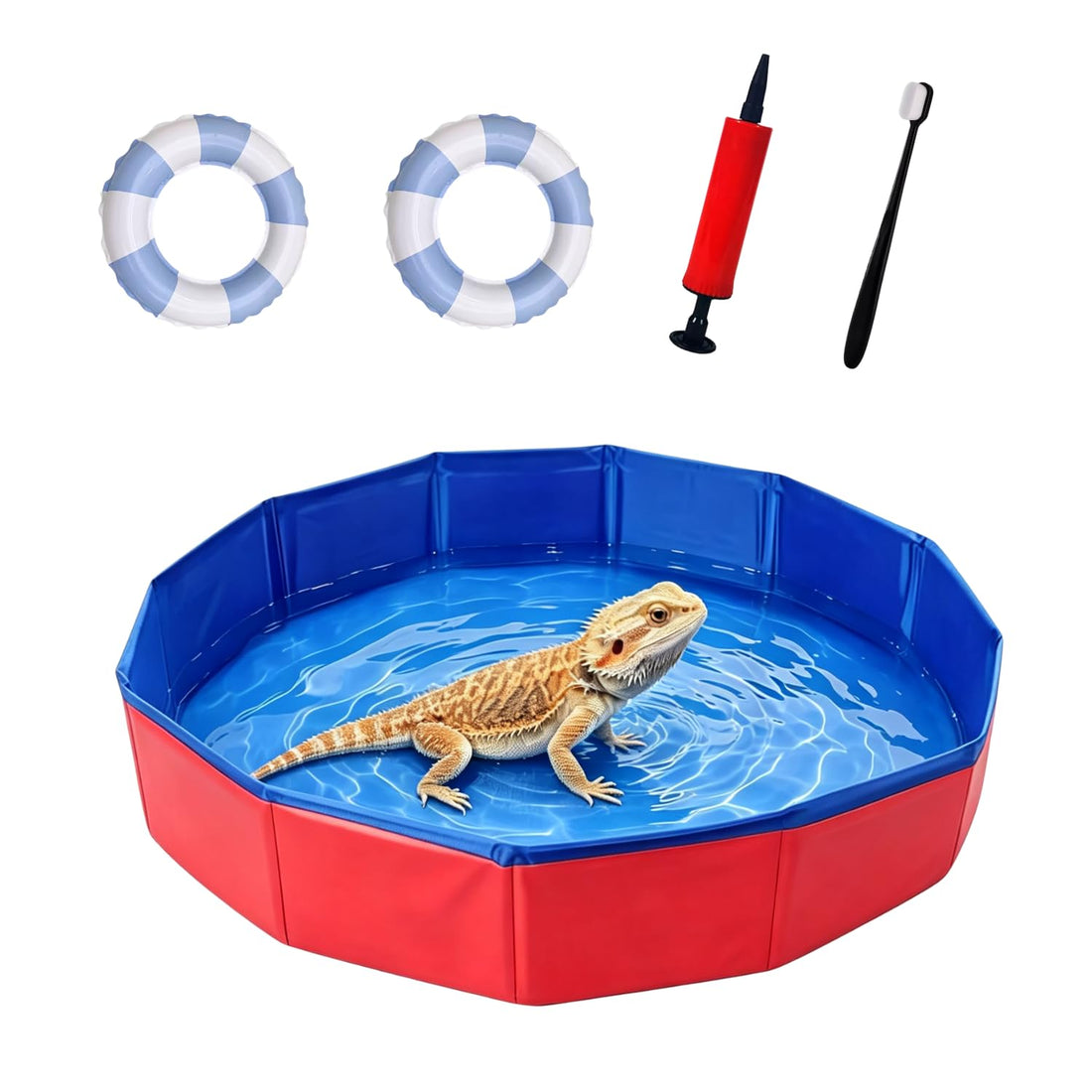Foldable Bearded Dragon Bathtub with 2Pcs Reptile Mini Swimming Rings