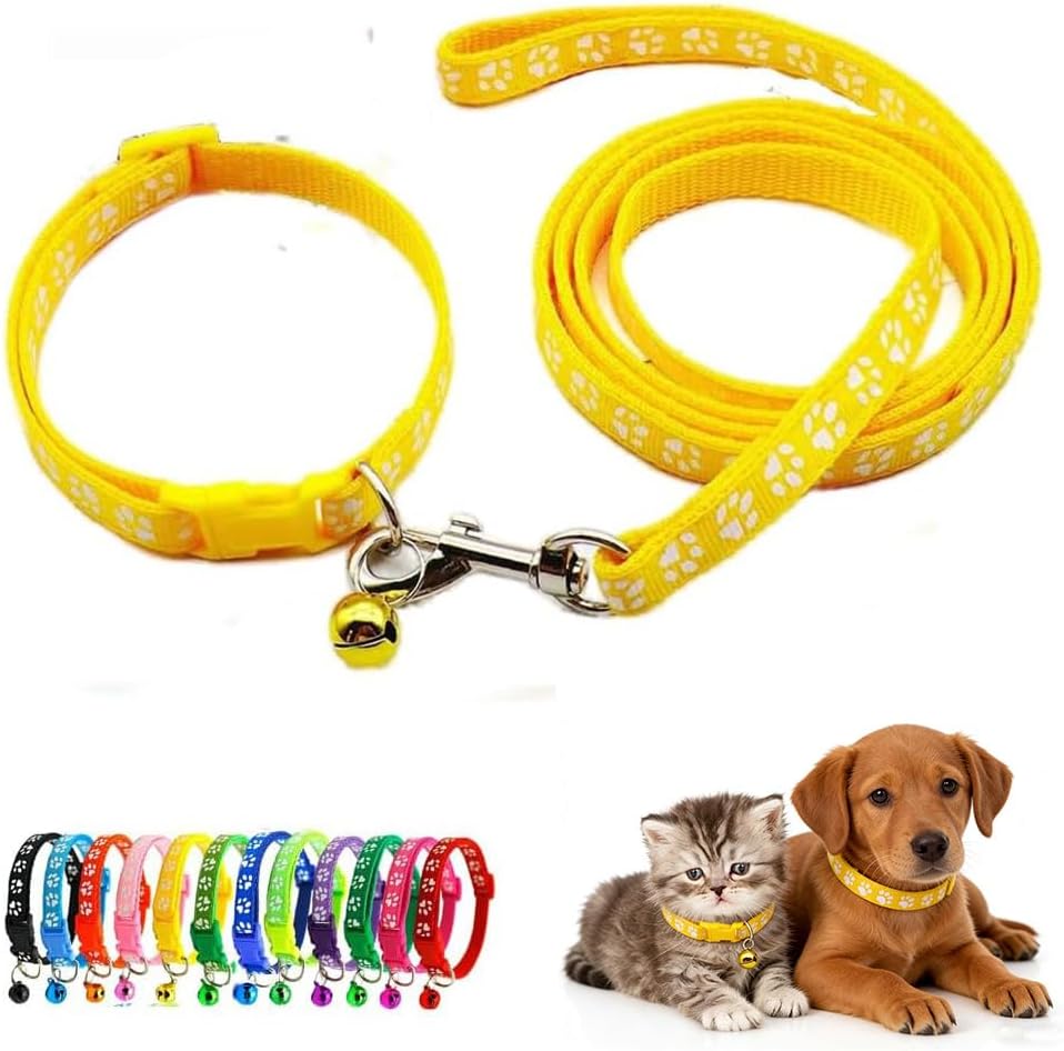 Paw Print Dog Collar Leash Set
