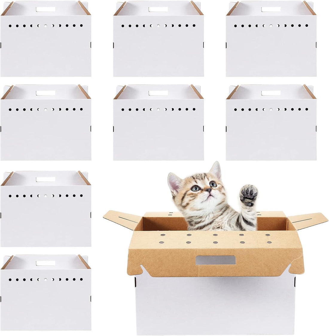 Kisston 12 Pieces Cardboard Pet Carriers 17.5 x 8.5 x 15 Inches