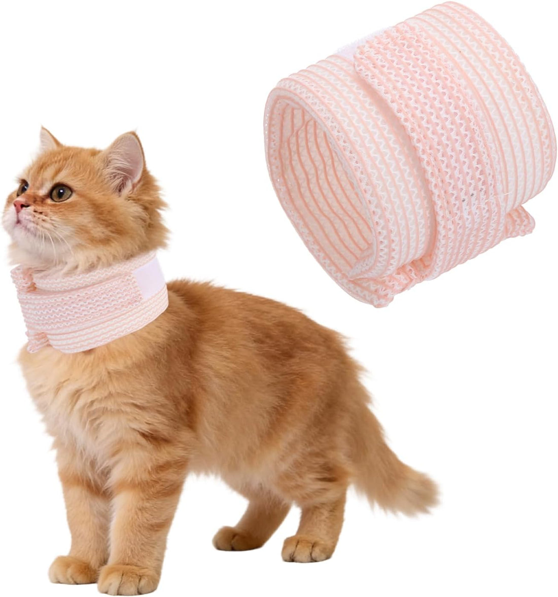 Cat Neck Cone, Recovery Collar (Mesh/M/9.1-11.8"/Blue)