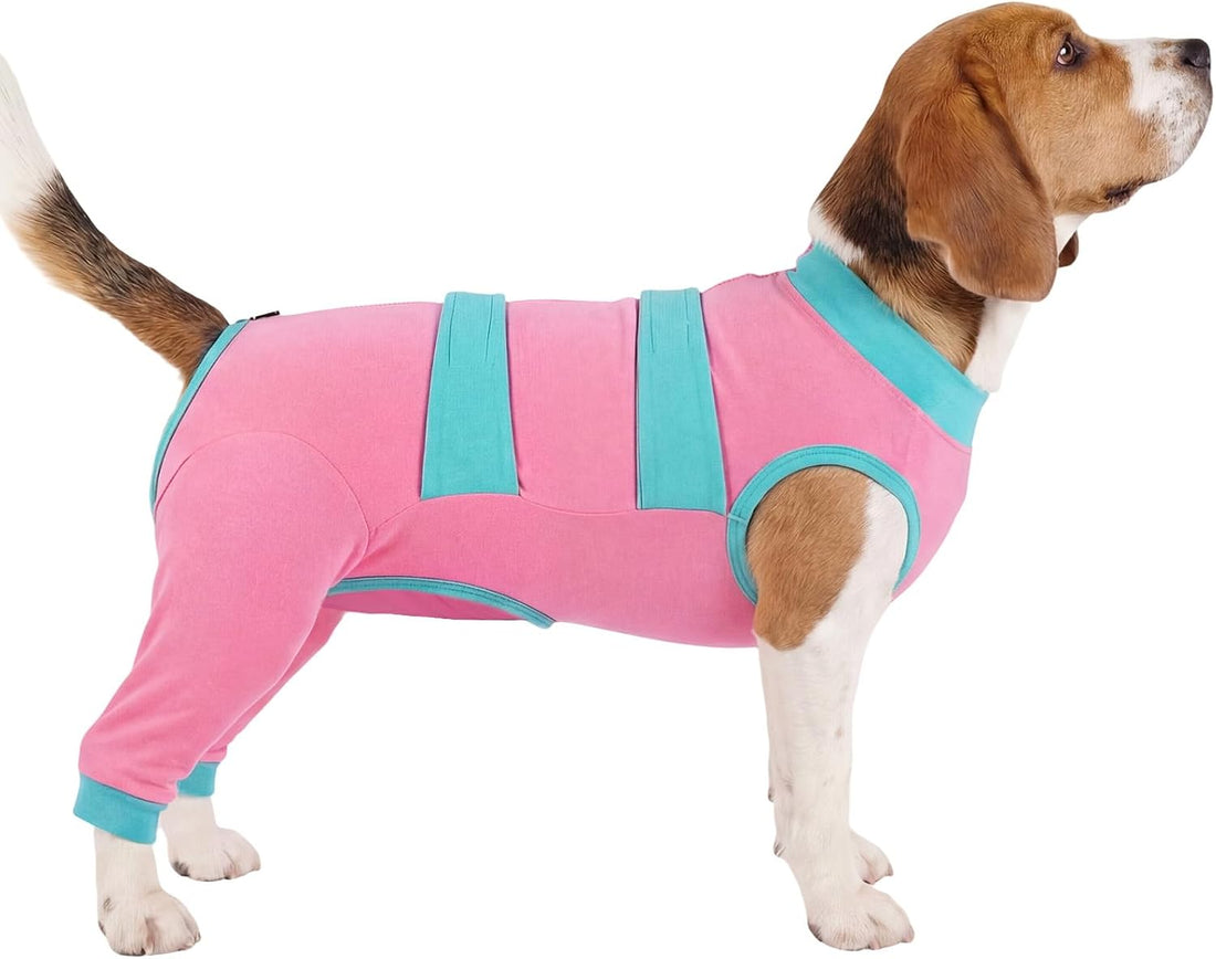 Lelepet Dog Surgery Recovery Suit, Pants for Dogs