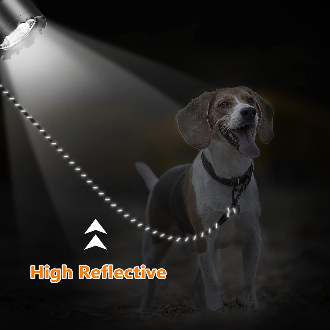 NTR 30 FT Dog Leash, Obedience Recall Training Agility Lead