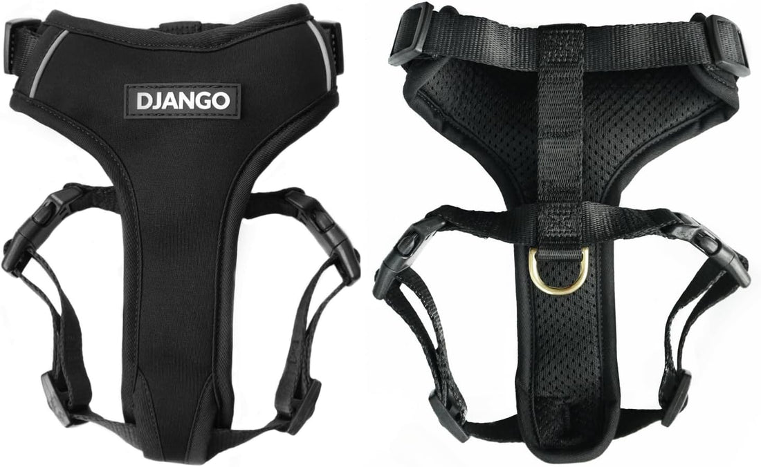 DJANGO Adventure Dog Harness - Padded & Adjustable