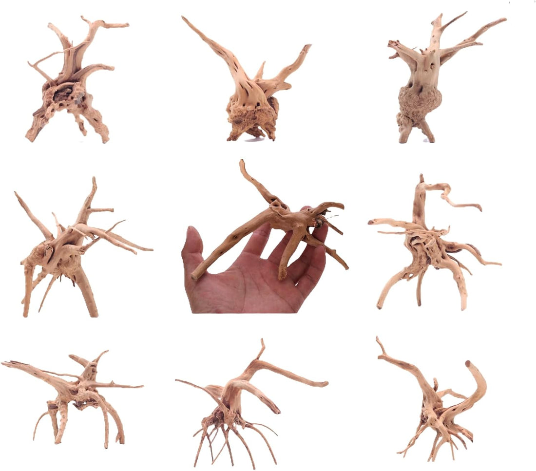 YZHZOM 8pcs Natural Small Spiderwood Driftwood for Aquarium Decor