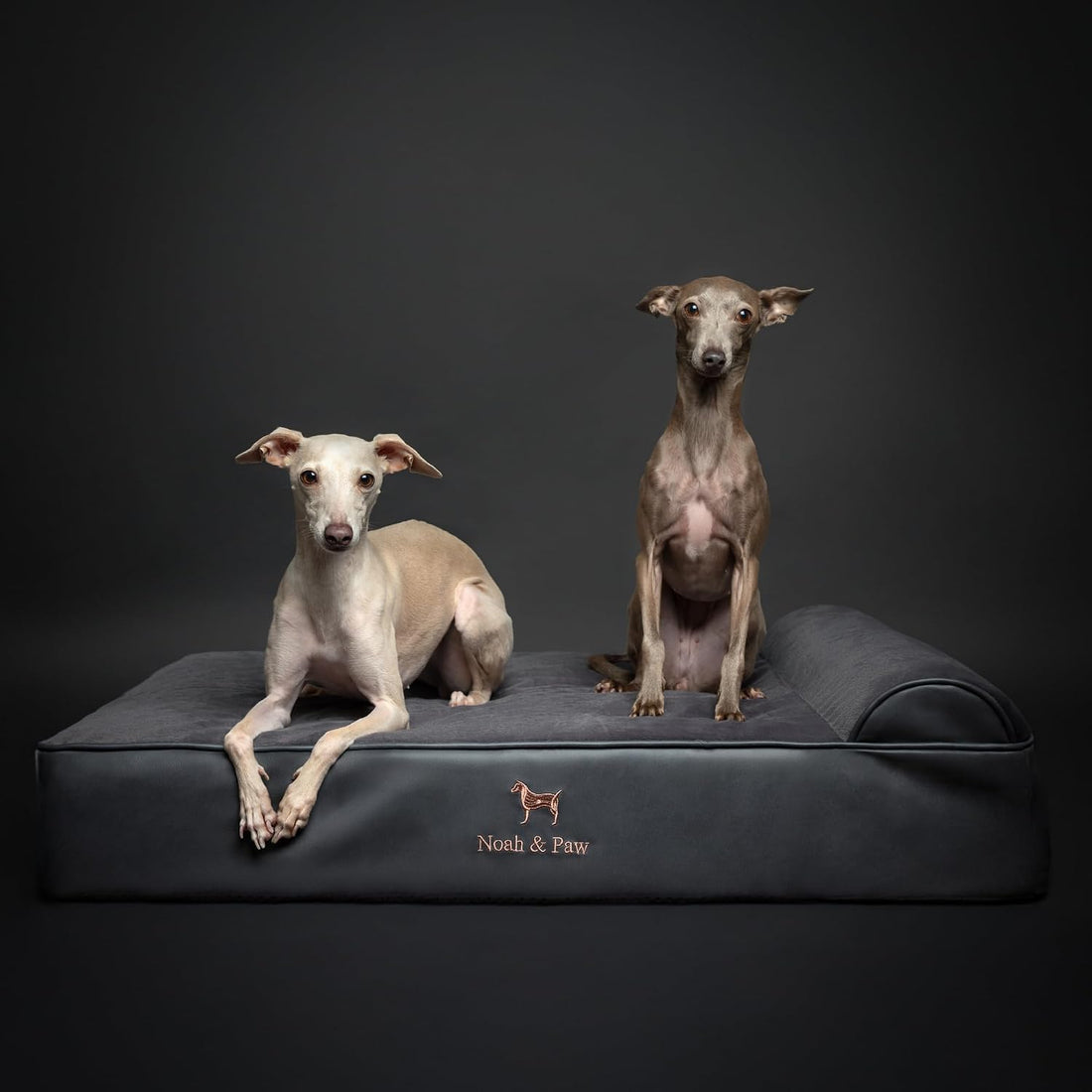 NOAH & PAW Large Dog Bed Orthopedic Memory Foam Cooling Gel 35x25x8.7