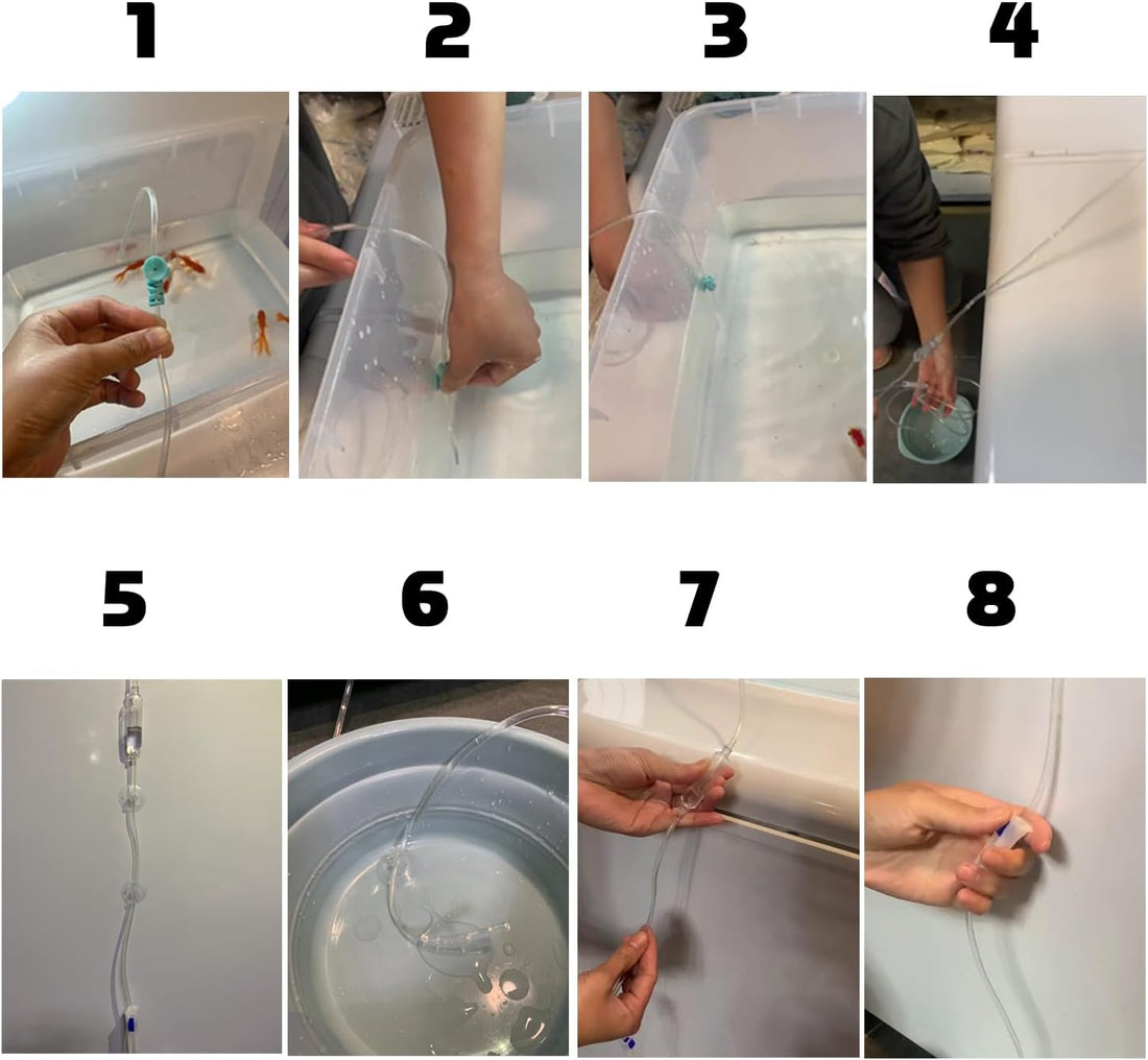 Foldable Fish Acclimation Box