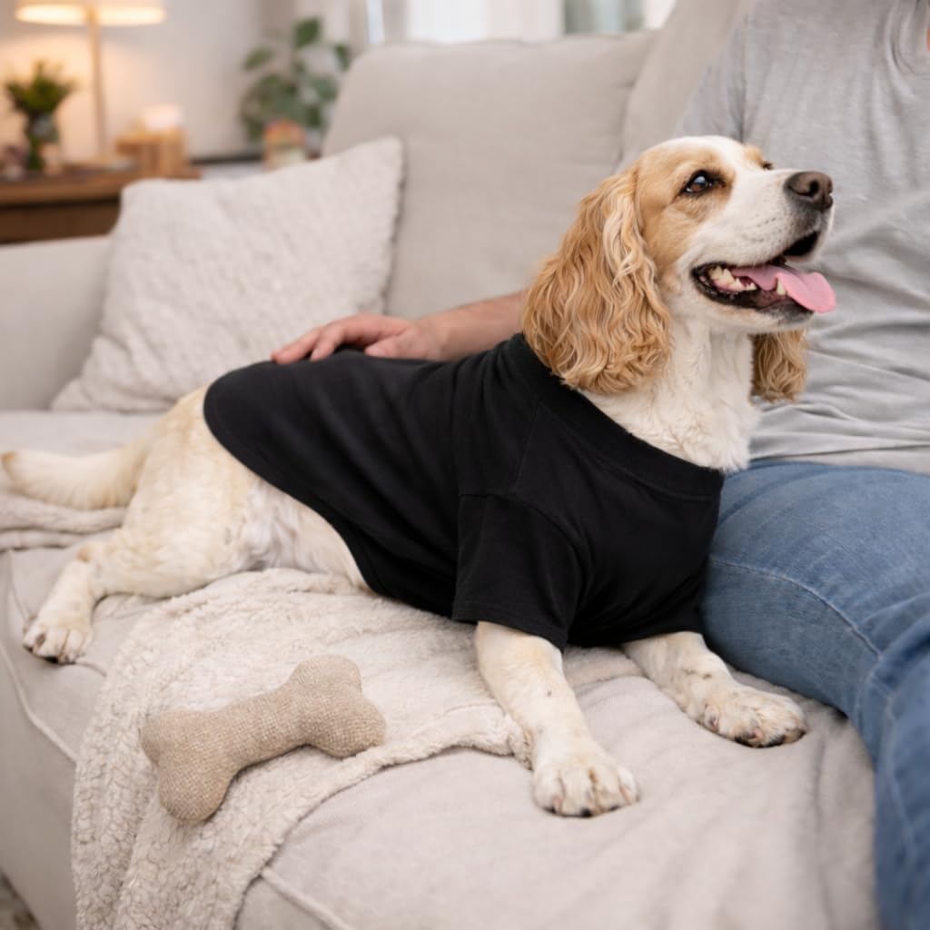 Lovelonglong Pet Clothing Dog Costumes Basic Blank T-Shirt Tee Shirts