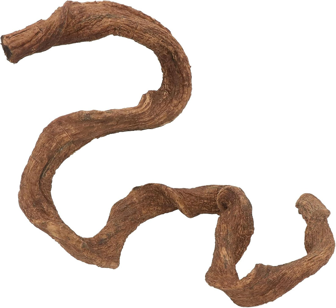 AQUA KT Reptile Twist Climber Vine Bendable Branch for Lizard Snake