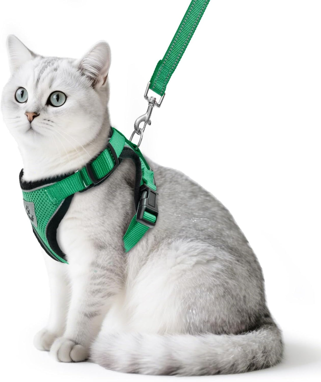 PUPTECK Halloween Cat Harness and Leash Set Escape Proof Reflective