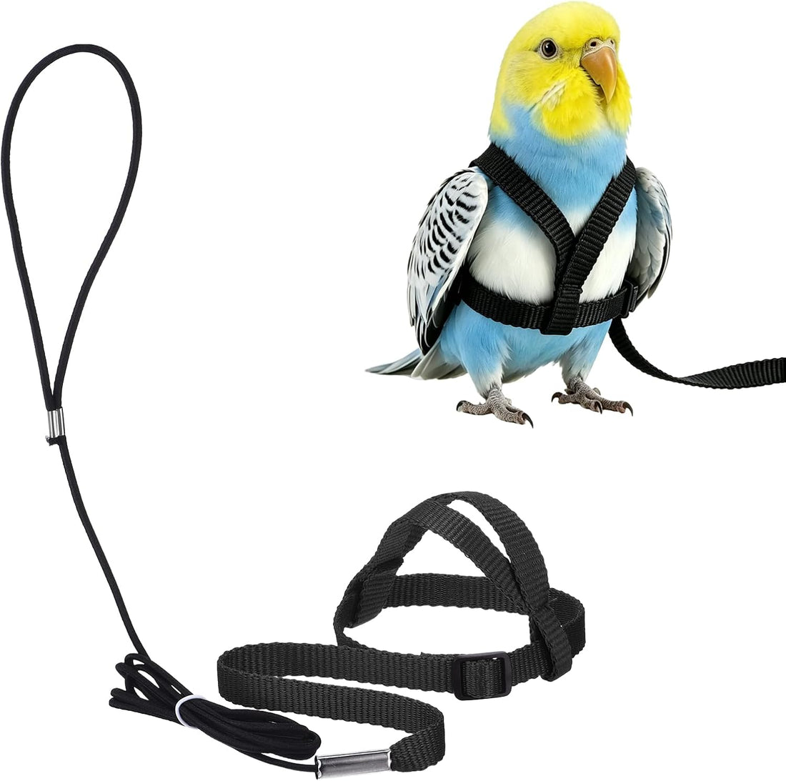 Bird Harness and Leash Adjustable Parrot Leash 47.2" S