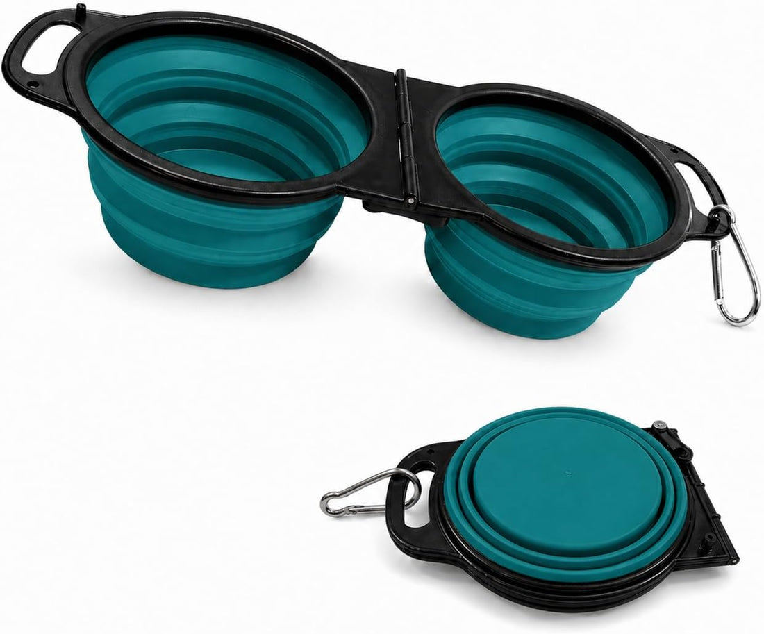 Double Collapsible Dog Bowls for Travel, Food and Water Set with Clip