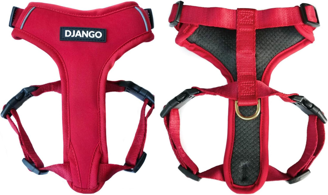 DJANGO Adventure Dog Harness - Padded & Adjustable
