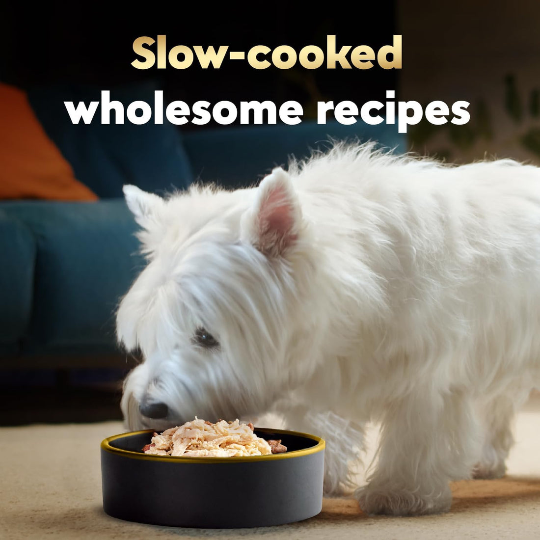Cesar Wholesome Bowls Adult Wet Dog Food, Chicken, Recipe