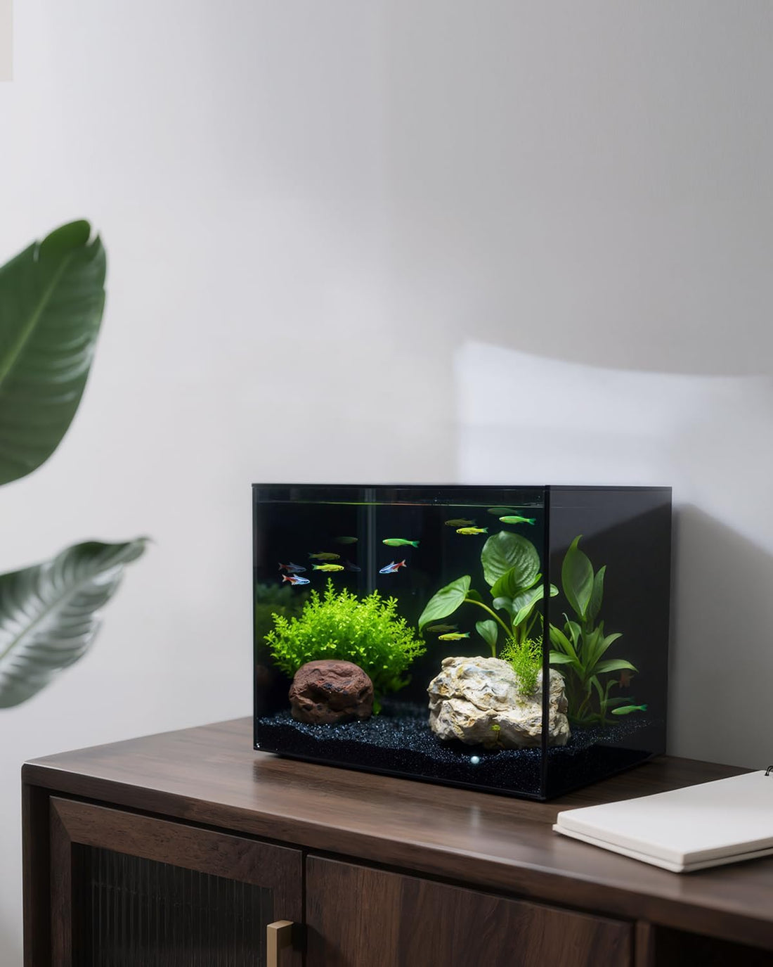 2.5 Gallon Nano Glass Fish Tank, Ultra-Clear Rimless Desktop Aquarium
