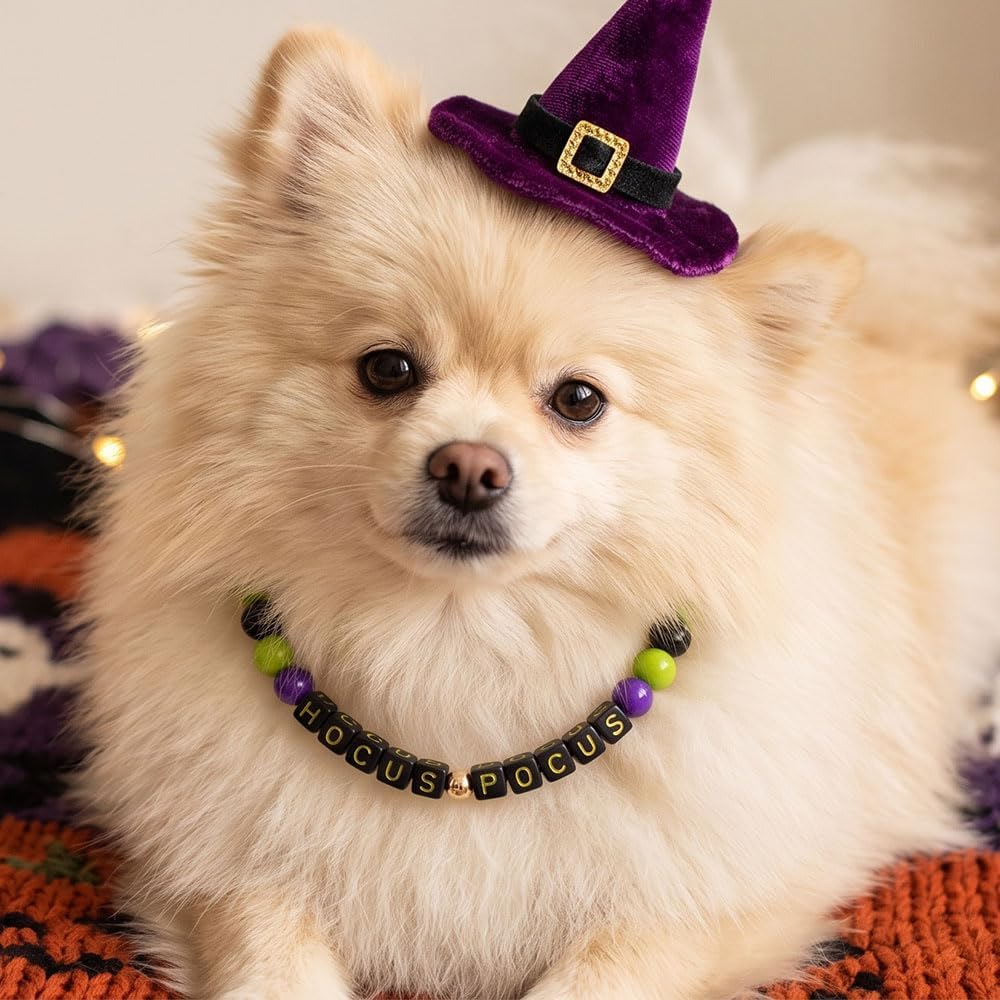 Halloween Beaded Pet Necklace Collar Dog Cat Holiday Costume Collar