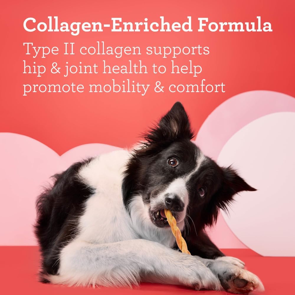 DreamBone CollaYUMS Twists Plus Collagen Rawhide-Free Dog Treats