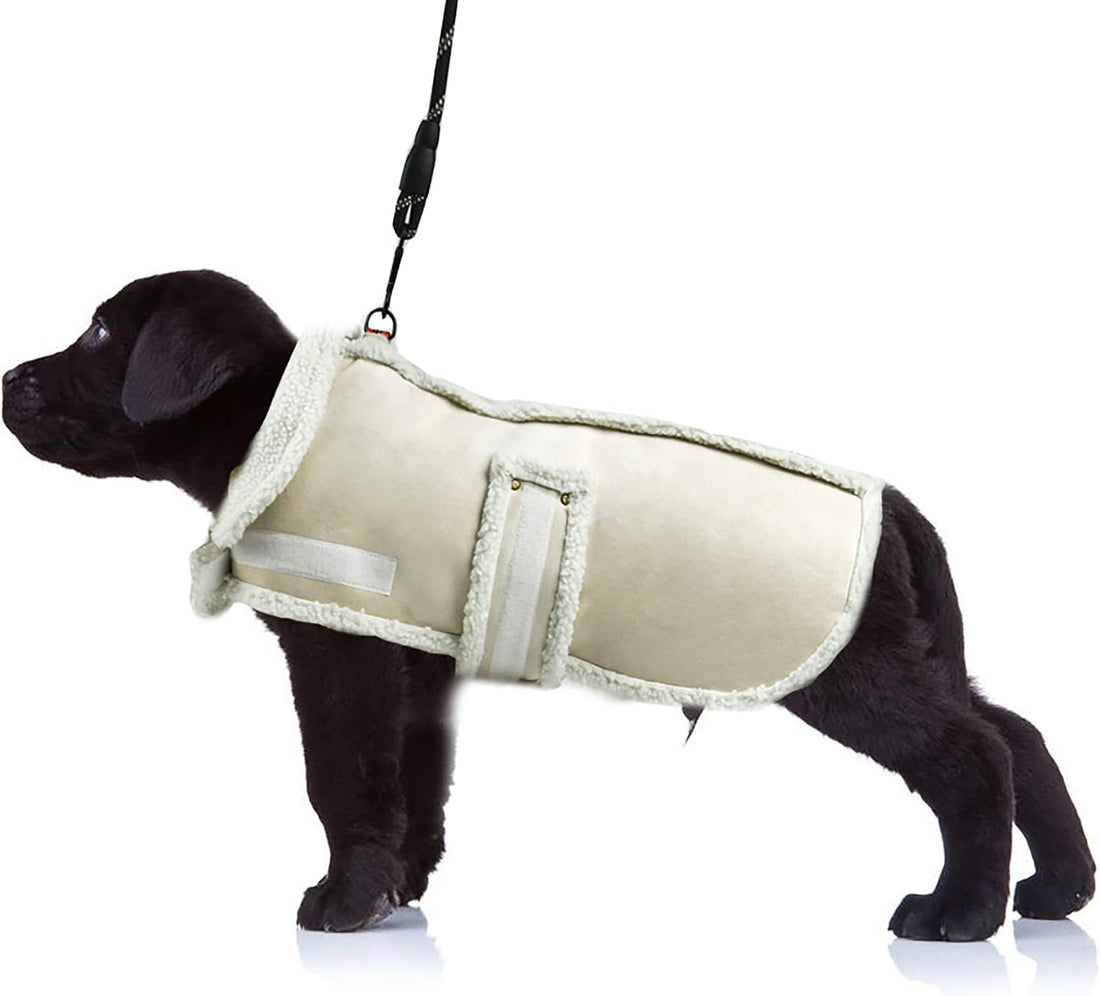 Dog Winter Jacket, Warm Windproof Dog Sweaters for Small Dogs
