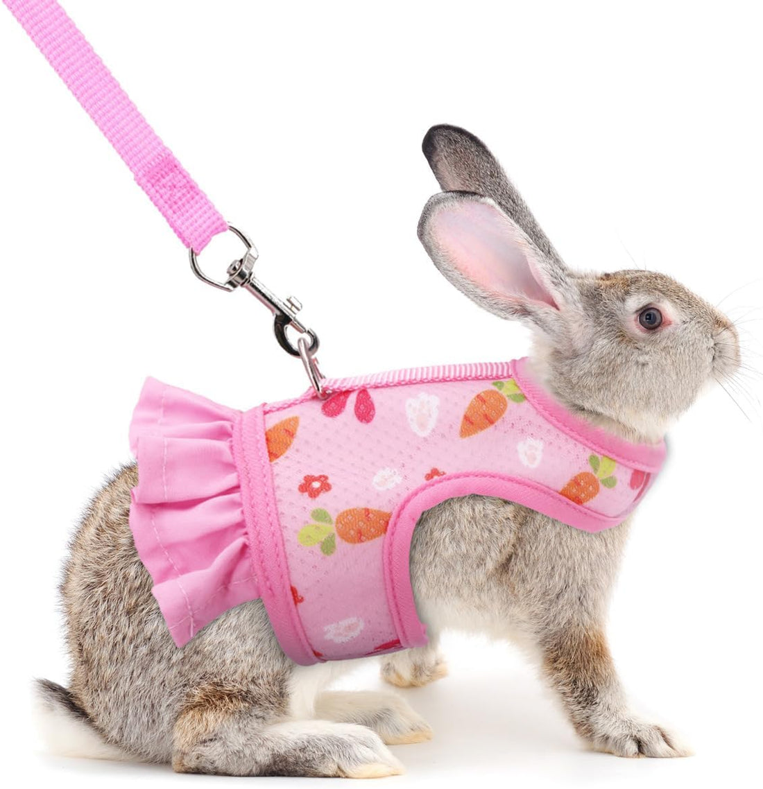 Cute Bunny Harness and Leash Set