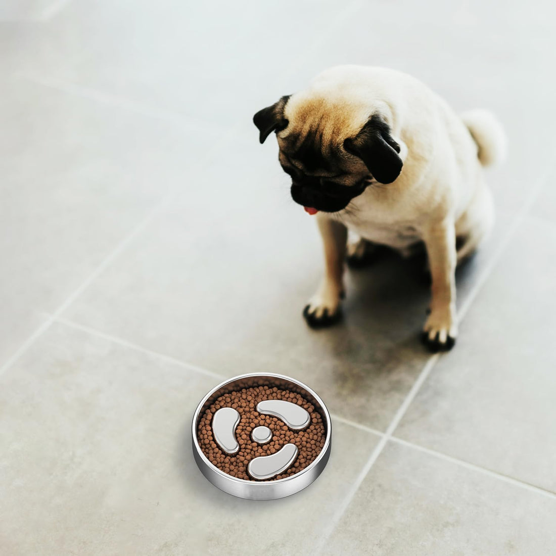 Slow Feeder Dog Bowls, 1Cup for Small Puppy, 1Pack