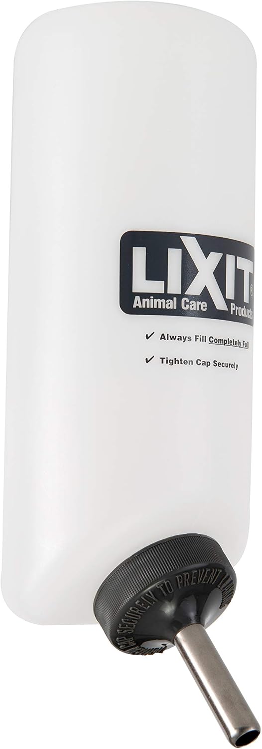 Lixit Wide Mouth BPA-Free Water Bottles with Colorful Graphics