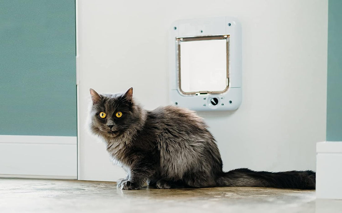 Cat Mate Microchip Activated Cat Flap (360) for Cats & Small Dogs
