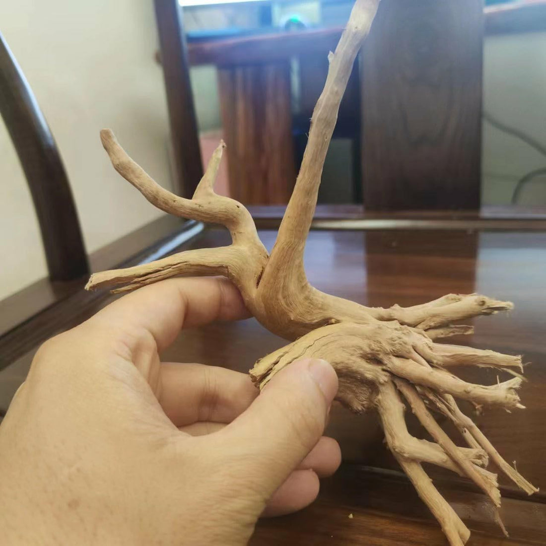 YZHZOM 8pcs Natural Small Spiderwood Driftwood for Aquarium Decor